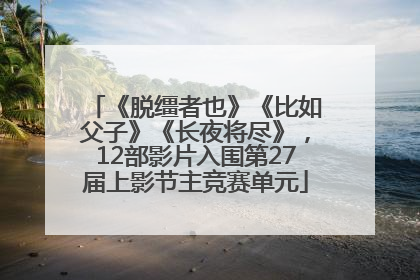 《脱缰者也》《比如父子》《长夜将尽》，12部影片入围第27届上影节主竞赛单元