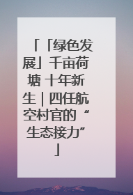 「绿色发展」千亩荷塘 十年新生｜四任航空村官的“生态接力”