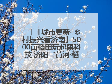 「城市更新· 乡村振兴看济南」5000亩稻田玩起黑科技 济阳“黄河·稻乡湾”靠“非遗+露营”火出圈