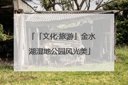 「文化·旅游」金水湖湿地公园风光美