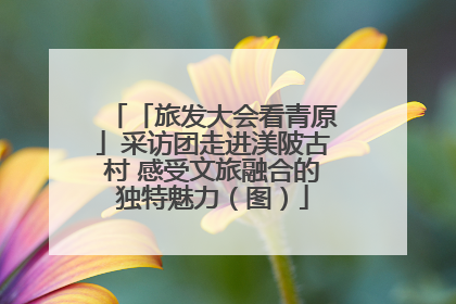 「旅发大会看青原」采访团走进渼陂古村 感受文旅融合的独特魅力（图）