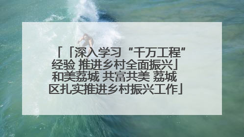 「深入学习“千万工程”经验 推进乡村全面振兴」和美荔城 共富共美 荔城区扎实推进乡村振兴工作