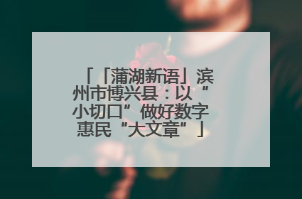「蒲湖新语」滨州市博兴县：以“小切口”做好数字惠民“大文章”