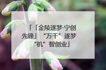 「金陵逐梦·宁创先锋」“万千”逐梦 “机”智创业