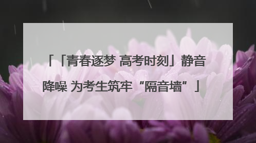 「青春逐梦 高考时刻」静音降噪 为考生筑牢“隔音墙”