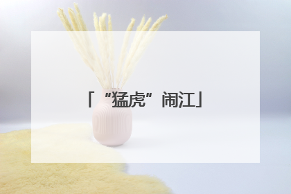 “猛虎”闹江
