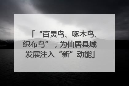 “百灵鸟、啄木鸟、织布鸟”，为仙居县域发展注入“新”动能