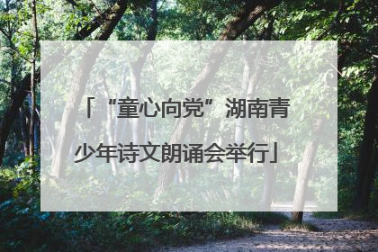 “童心向党”湖南青少年诗文朗诵会举行