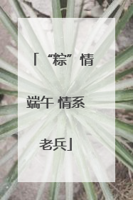 “粽”情端午 情系老兵
