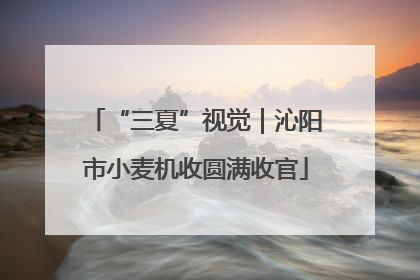 “三夏”视觉｜沁阳市小麦机收圆满收官