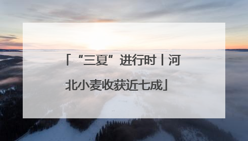 “三夏”进行时丨河北小麦收获近七成