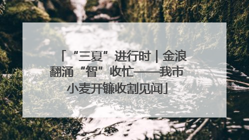 “三夏”进行时｜金浪翻涌“智”收忙——我市小麦开镰收割见闻