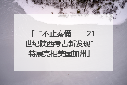 “不止秦俑——21世纪陕西考古新发现”特展亮相美国加州
