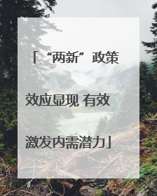 “两新”政策效应显现 有效激发内需潜力