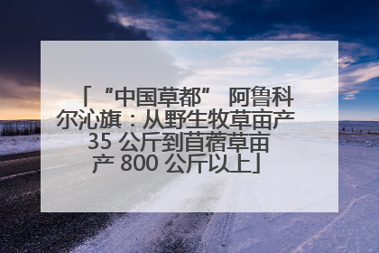 “中国草都” 阿鲁科尔沁旗：从野生牧草亩产 35 公斤到苜蓿草亩产 800 公斤以上