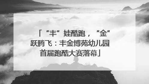 “丰”娃酷跑，“金”跃腾飞：丰金博苑幼儿园首届跑酷大赛落幕
