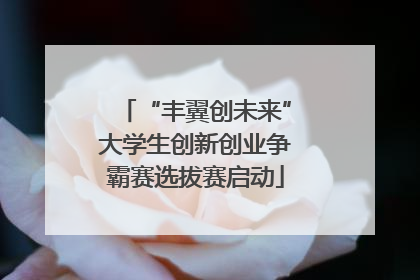 “丰翼创未来”大学生创新创业争霸赛选拔赛启动