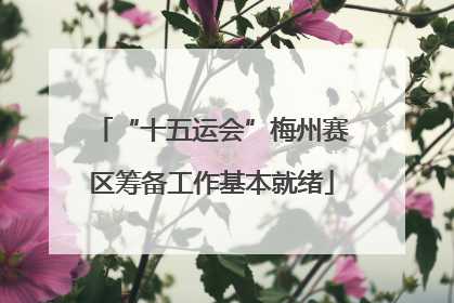 “十五运会”梅州赛区筹备工作基本就绪