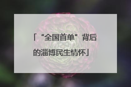 “全国首单”背后的淄博民生情怀