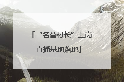 “名誉村长”上岗 直播基地落地