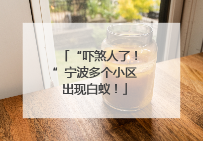 “吓煞人了！”宁波多个小区出现白蚁！