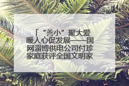 “善小”聚大爱 暖人心促发展——国网淄博供电公司付珍家庭获评全国文明家庭背后的文明密码