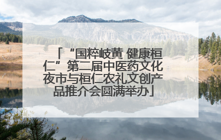“国粹岐黄 健康桓仁”第二届中医药文化夜市与桓仁农礼文创产品推介会圆满举办
