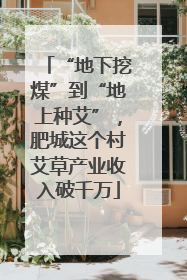 “地下挖煤”到“地上种艾”，肥城这个村艾草产业收入破千万