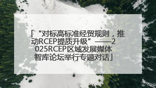 “对标高标准经贸规则，推动RCEP提质升级”——2025RCEP区域发展媒体智库论坛举行专题对话