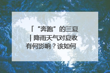 “奔跑”的三夏｜降雨天气对夏收有何影响？该如何防范？一文了解