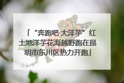 “奔跑吧·大洋芋”红土地洋芋花海越野跑在昆明市东川区热力开跑