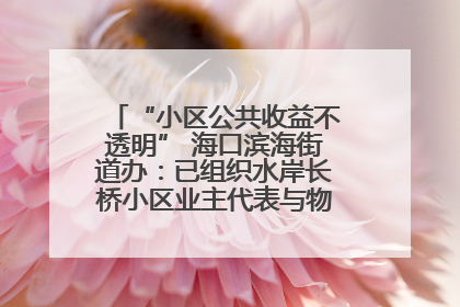 “小区公共收益不透明” 海口滨海街道办：已组织水岸长桥小区业主代表与物业进行座谈