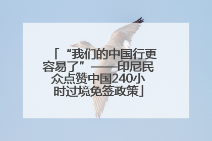 “我们的中国行更容易了”——印尼民众点赞中国240小时过境免签政策
