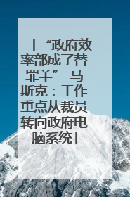 “政府效率部成了替罪羊” 马斯克：工作重点从裁员转向政府电脑系统