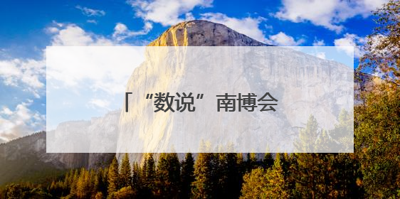 “数说”南博会上的曲靖风采