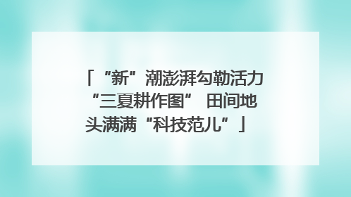 “新”潮澎湃勾勒活力“三夏耕作图” 田间地头满满“科技范儿”