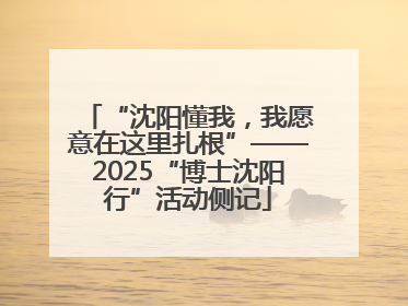“沈阳懂我，我愿意在这里扎根”——2025“博士沈阳行”活动侧记