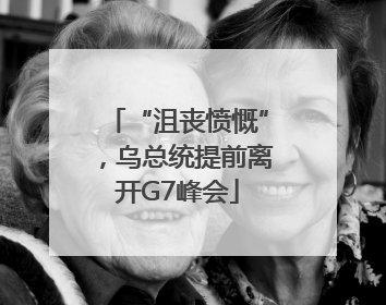 “沮丧愤慨”，乌总统提前离开G7峰会