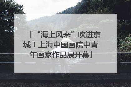 “海上风来”吹进京城！上海中国画院中青年画家作品展开幕