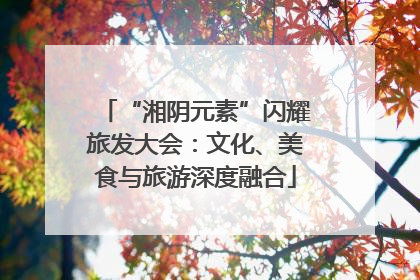 “湘阴元素”闪耀旅发大会：文化、美食与旅游深度融合