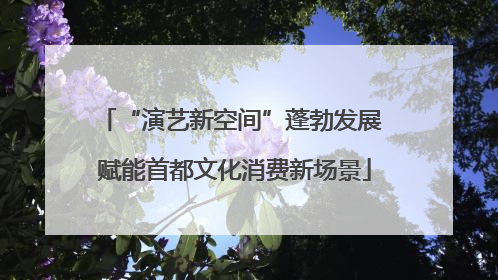 “演艺新空间”蓬勃发展 赋能首都文化消费新场景
