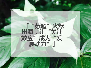 “苏超”火爆出圈，让“关注效应”成为“发展动力”