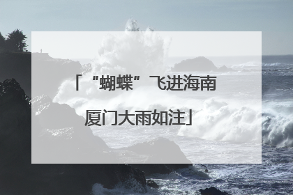 “蝴蝶”飞进海南 厦门大雨如注