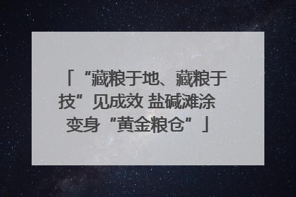 “藏粮于地、藏粮于技”见成效 盐碱滩涂变身“黄金粮仓”