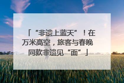 “非遗上蓝天”！在万米高空，旅客与春晚同款非遗见“面”