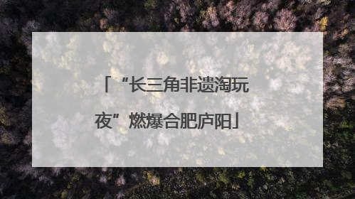 “长三角非遗淘玩夜”燃爆合肥庐阳