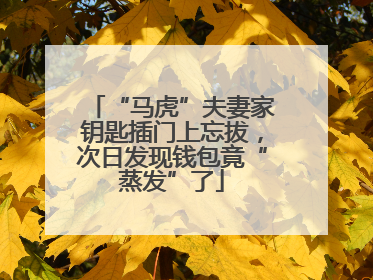 “马虎”夫妻家钥匙插门上忘拔，次日发现钱包竟“蒸发”了