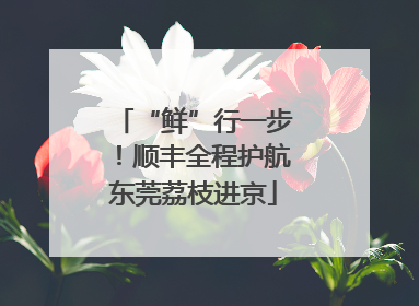“鲜”行一步！顺丰全程护航东莞荔枝进京