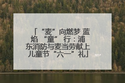 “麦”向燃梦 蓝焰 “童” 行：浦东消防与麦当劳献上儿童节“六一”礼