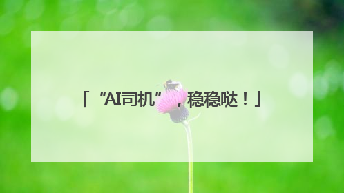 “AI司机”，稳稳哒！